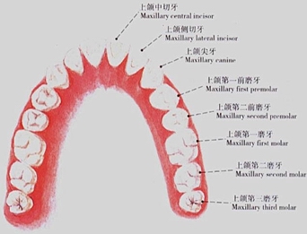 mg冰球突破豪华版试玩(中国)官方网站