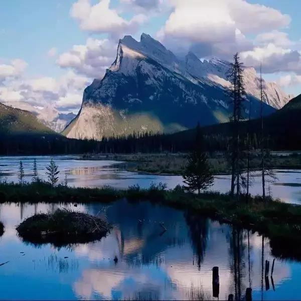 jackpot·(中国区)官方网站